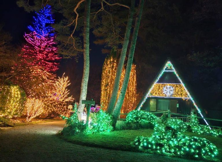 mozirski-gaj-bozicna-bajka-slovenije