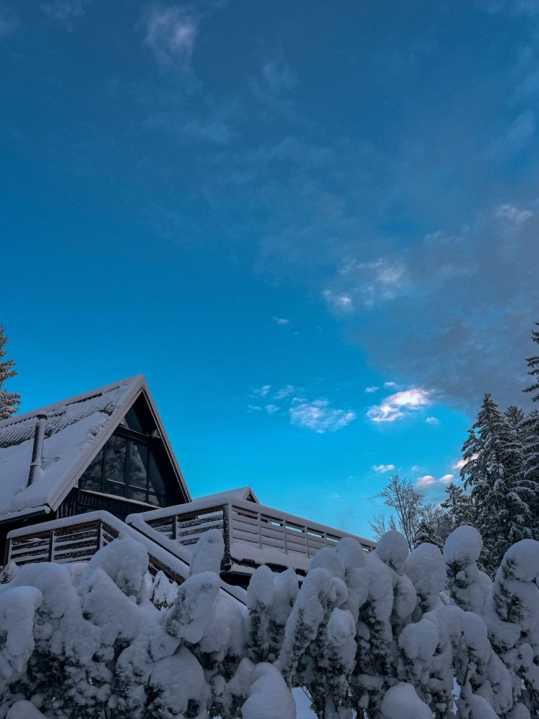 tim-kores-kori, brunarica, prenova