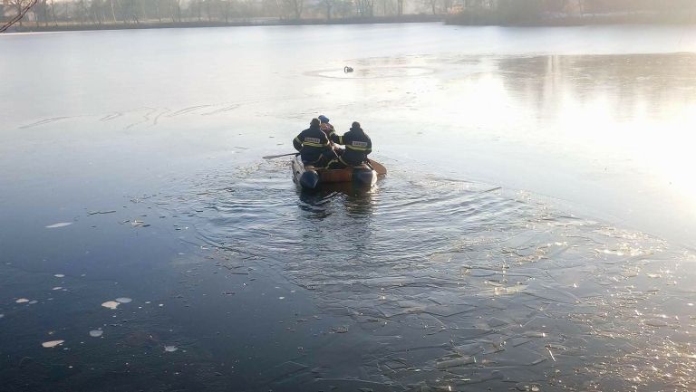 mv-ptičja gripa.jpeg