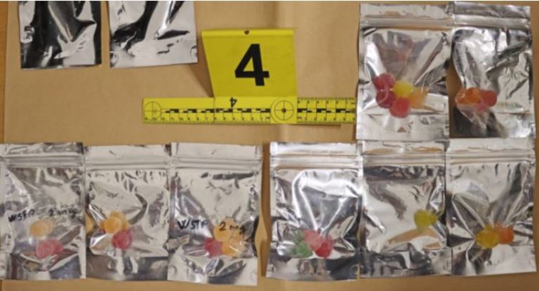 zaseg, ljubljana, droga