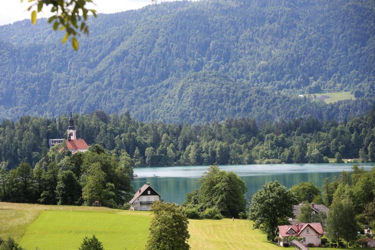 anze kopitar bled blejsko zezero zemljisce parcela.jpg