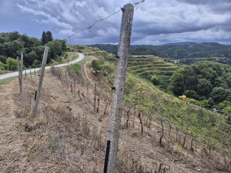 mv-haloze inštitut2.jpg