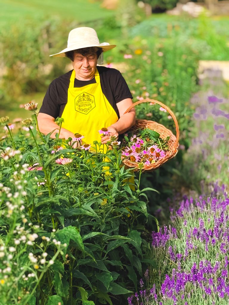 cebelarstvo, posestvo-kotnik