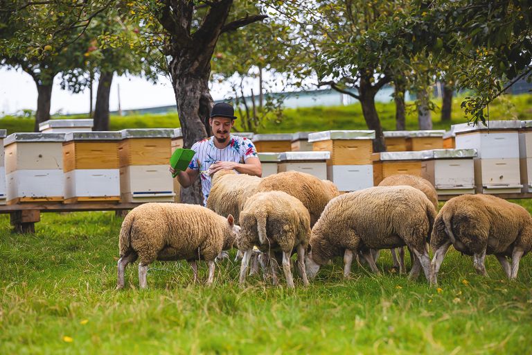 cebelarstvo, posestvo-kotnik
