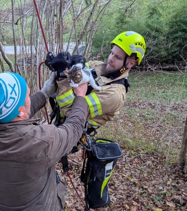 resevanje-macka, pge-krsko