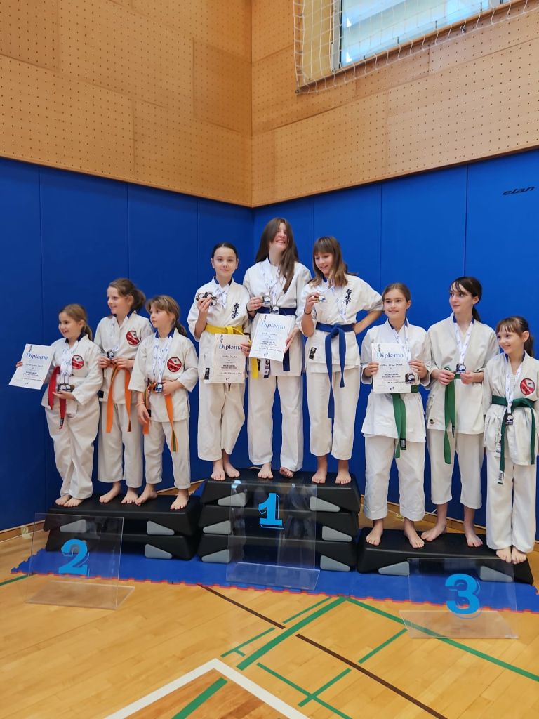 karate, turnir, franc-kotar, kbv-sevnica
