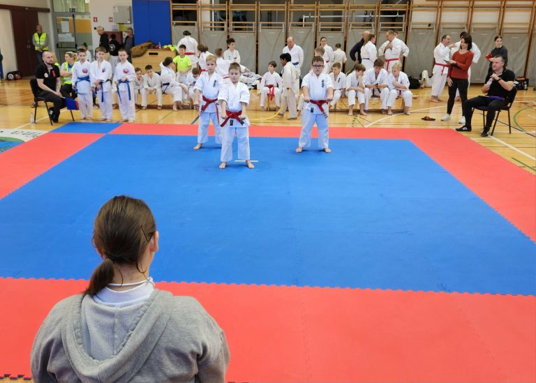 karate, turnir, franc-kotar, kbv-sevnica