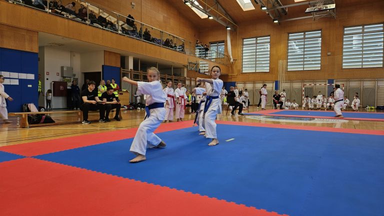 karate, turnir, franc-kotar, kbv-sevnica