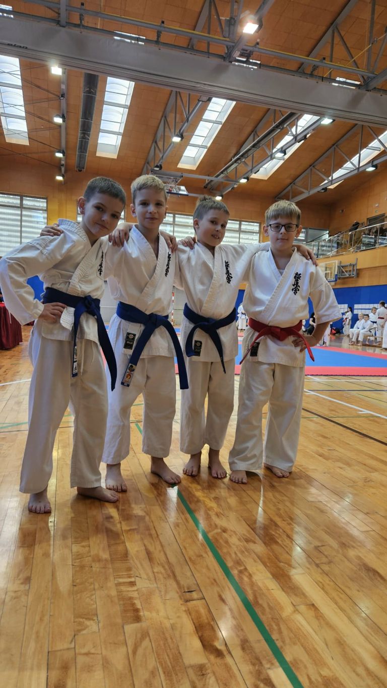 karate, turnir, franc-kotar, kbv-sevnica