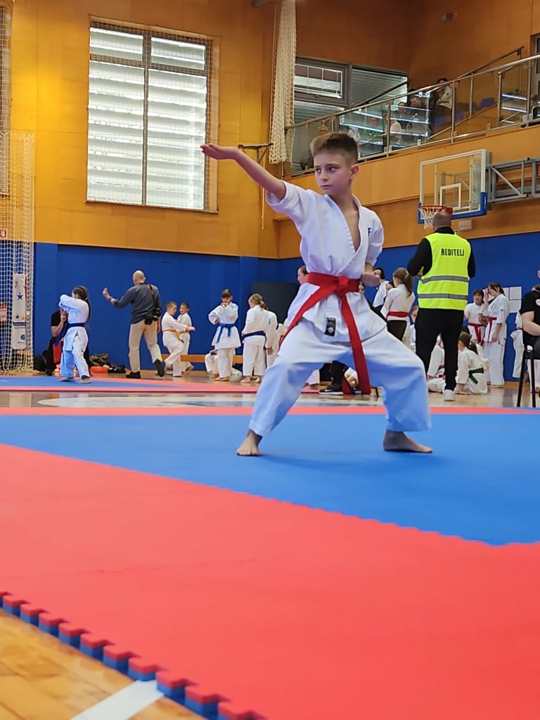 karate, turnir, franc-kotar, kbv-sevnica