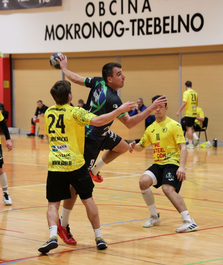 rokomenta-zveza-slovenije