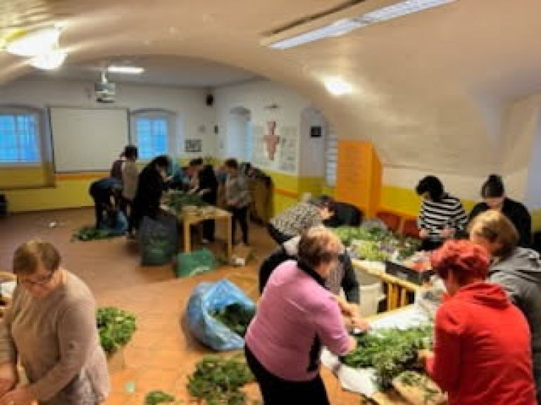 smarjeta, adventni-vencki, delavnica