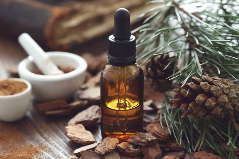 iglavci shutterstock_1913467729.jpg