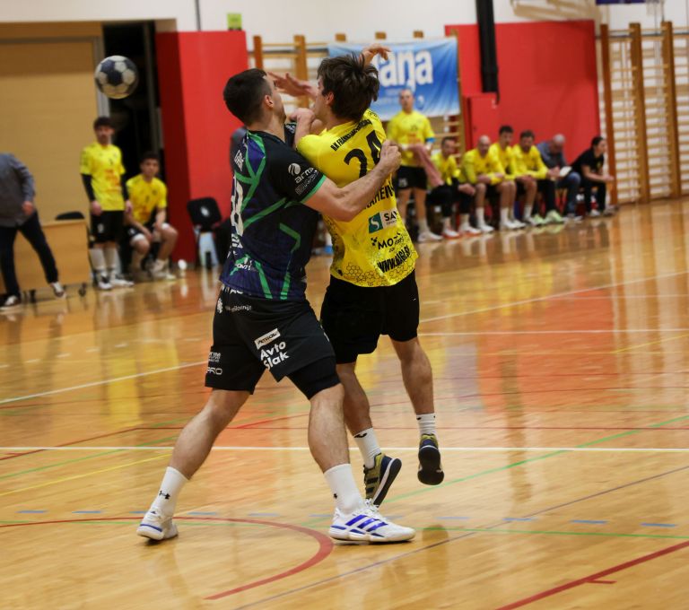 rokomenta-zveza-slovenije