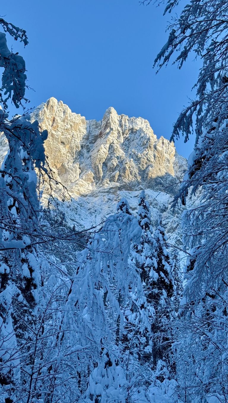 Kranjska Gora, Krnica (1).jpg