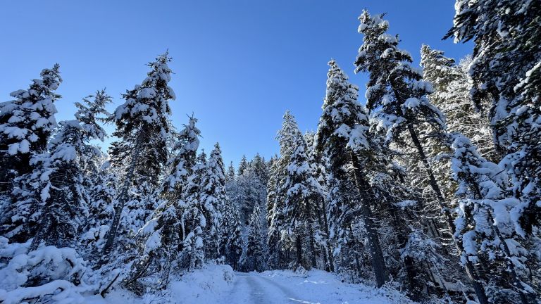 Kranjska Gora, Krnica (4).jpg