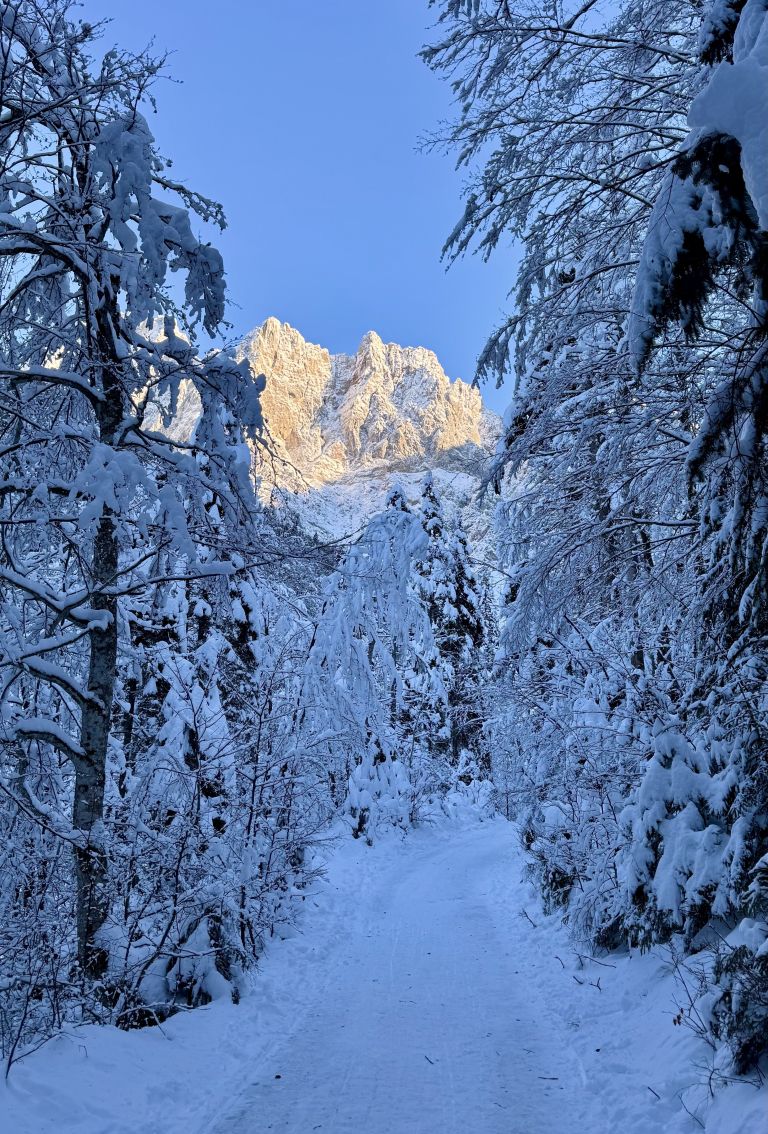 Kranjska Gora, Krnica (7).jpg
