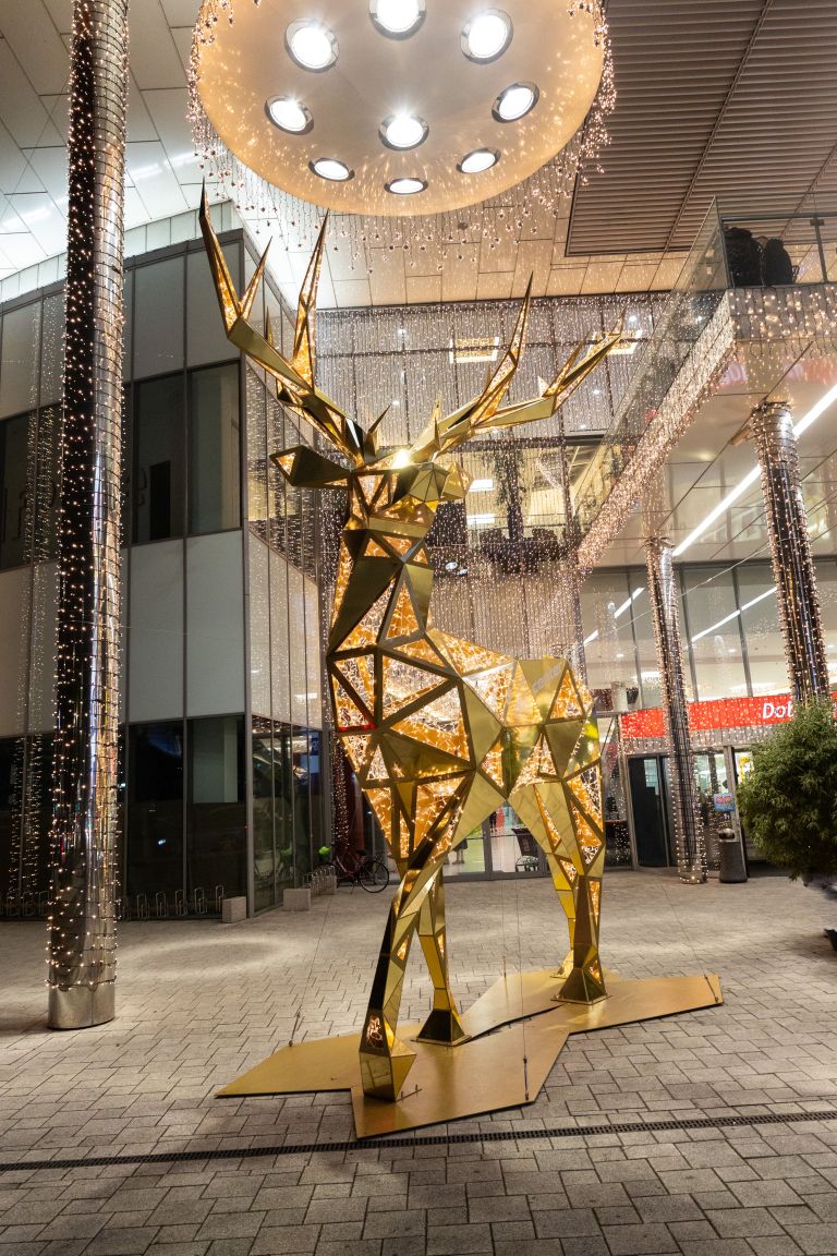 City Center Celje, decembrska pravljica