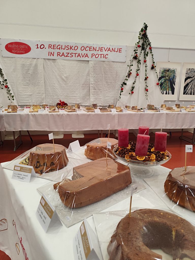 regijsko-ocenjevanje-potic-sentjernej-2025