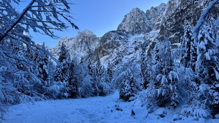 Kranjska Gora, Krnica (6).jpg