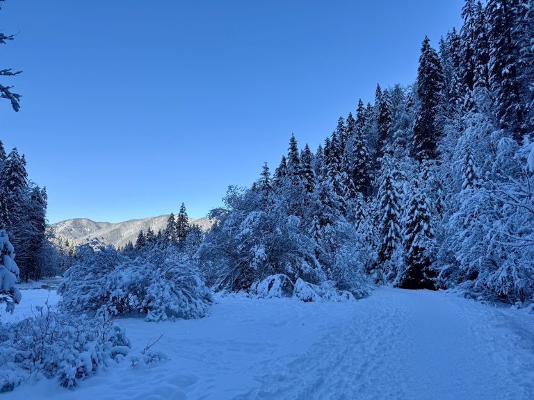 Kranjska Gora, Krnica (5).jpg