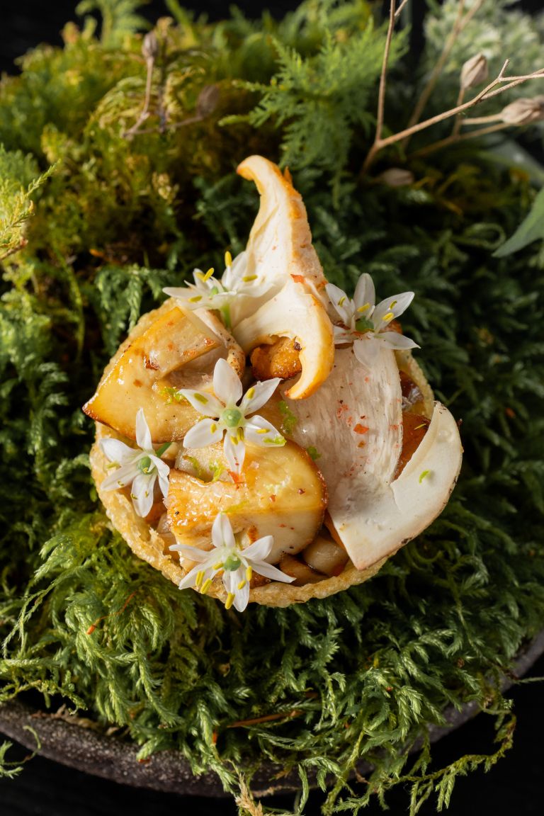 Kuhinja Jakob Pintar