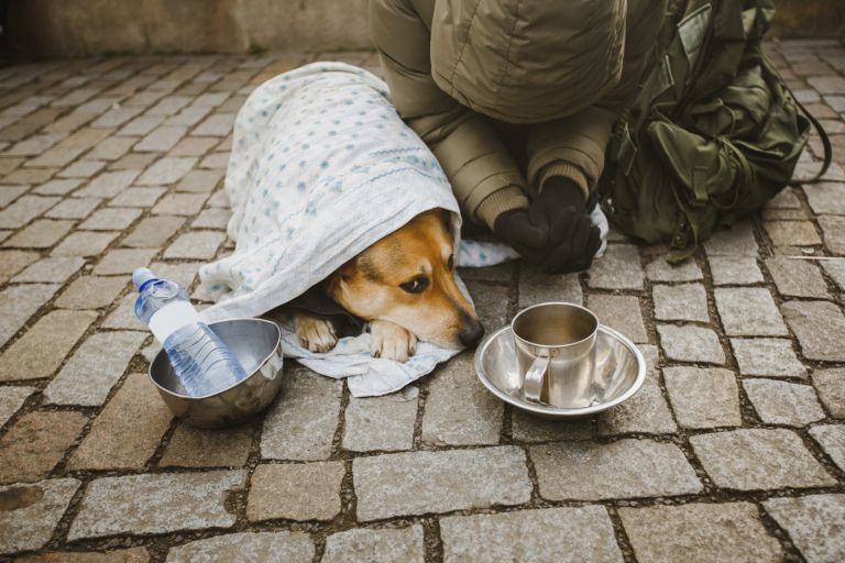 brezdomec, klošar.jpg