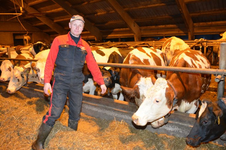 andrej-lenarcic, govedoreja