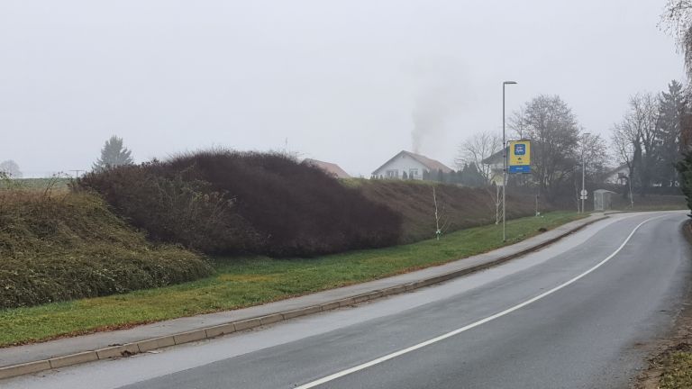 hb_dotrajana zasaditev.jpg