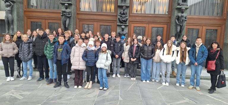 zpm-krsko, mladi-parlamentarci, drzavni-zbor