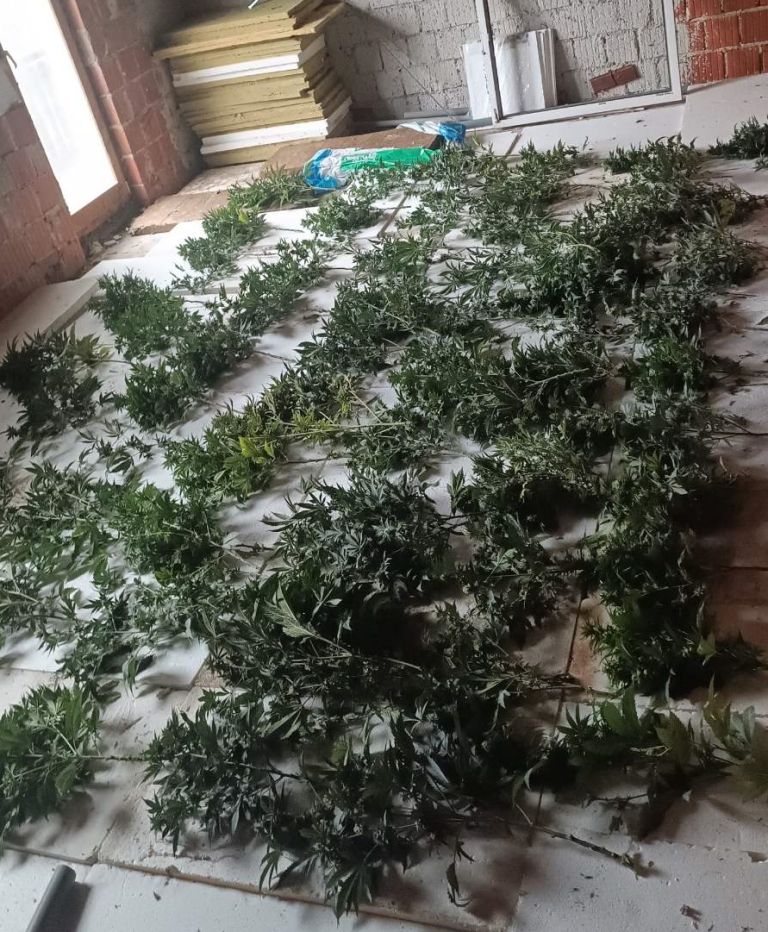 Laboratorij v Ribnici.