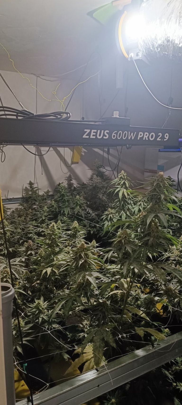 Laboratorij Ribnica 2.jpg