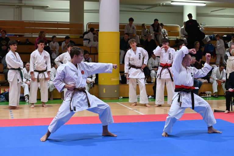 sveti-jurij, karate, 32.-mednarodni-odprti-karate-turnir-za-pokal-tromejnika, -4.-pokalni-turnir-s.k
