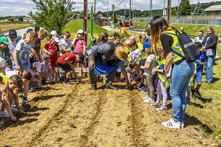 Municipality of Ormož_PHOTO Miško Kranjec-Slovenske železnic.jpeg