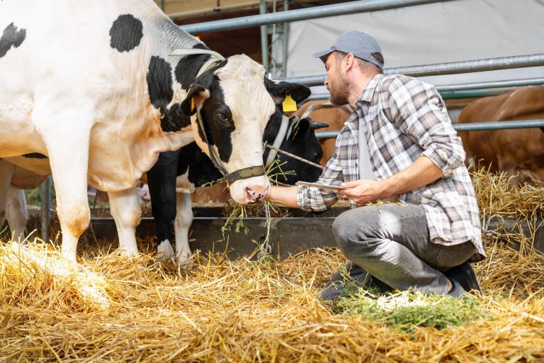 kmetijstvo, razpis, razpis-agro, agro-zemljisca-in-kmetije