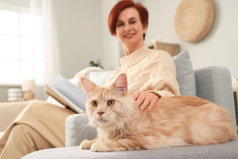 mačka, božanje mačke