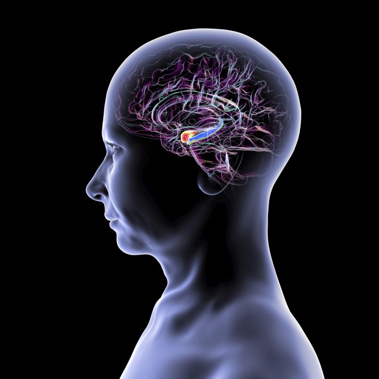 živeti z anksioznostjo 7