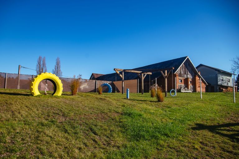 animal-resort, mačji-in-pasji-hotel, hotel-za-male-živali, krašči