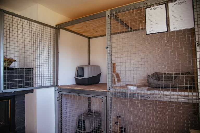 animal-resort, mačji-in-pasji-hotel, hotel-za-male-živali, krašči