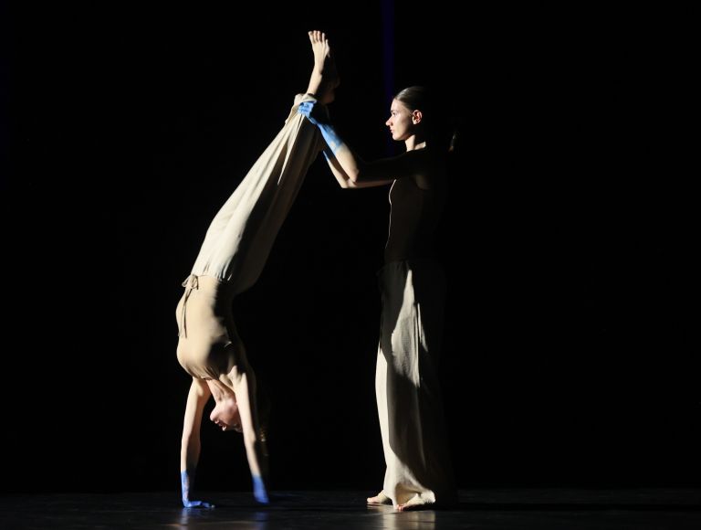 drustvo-harlekin, ana-vovk-pezdir, ples