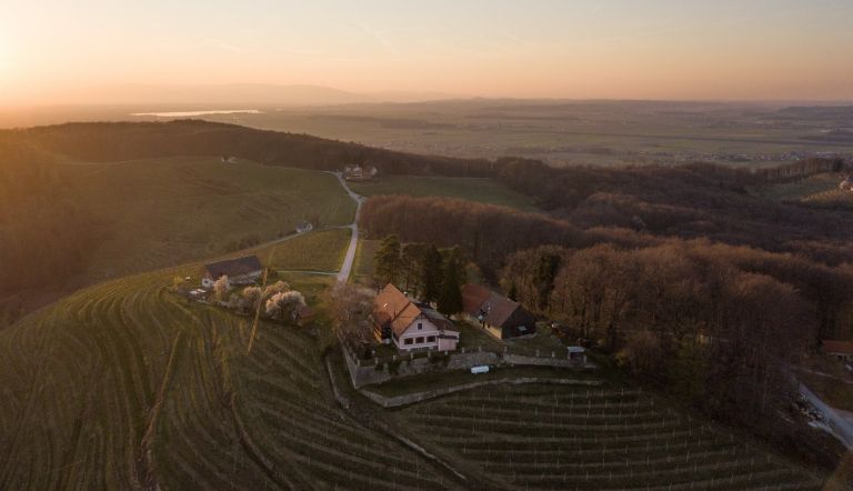 mv-vinogradi permakultura.jpg