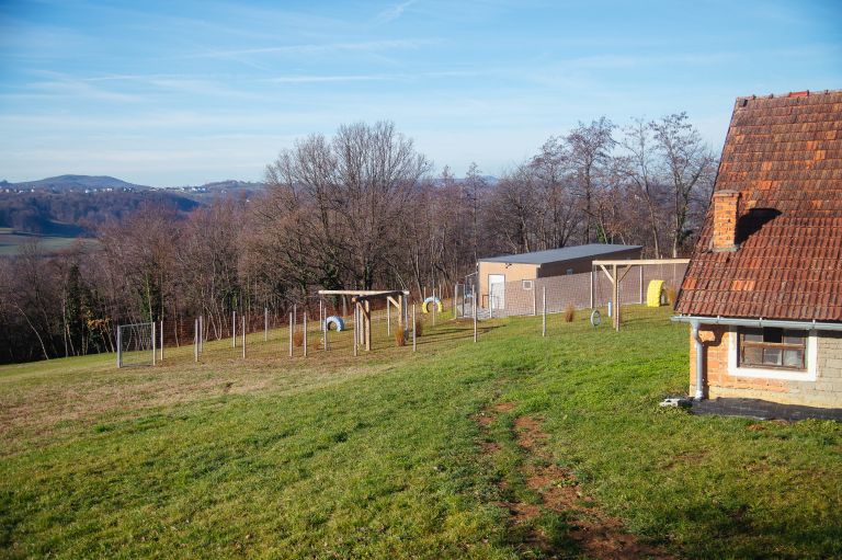 animal-resort, mačji-in-pasji-hotel, hotel-za-male-živali, krašči