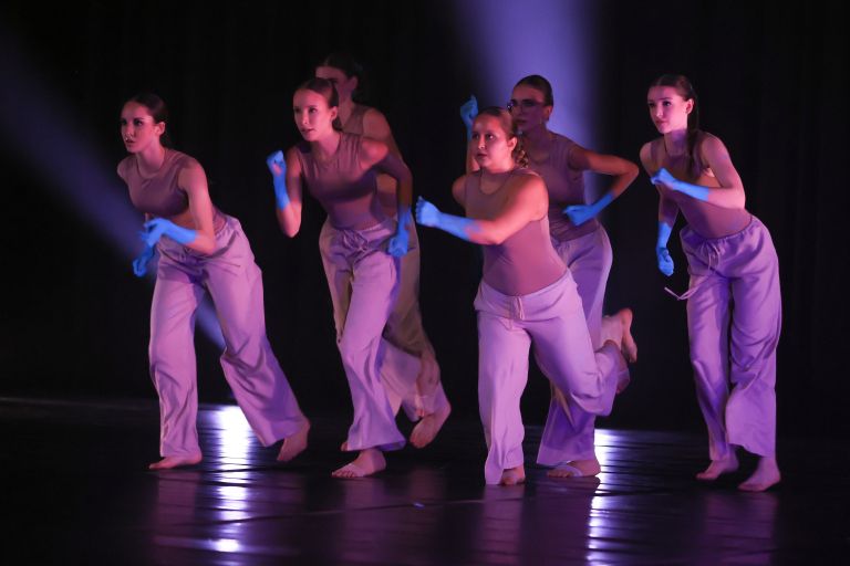 drustvo-harlekin, ana-vovk-pezdir, ples