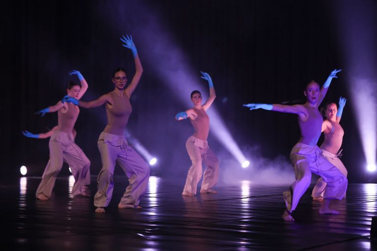 drustvo-harlekin, ana-vovk-pezdir, ples