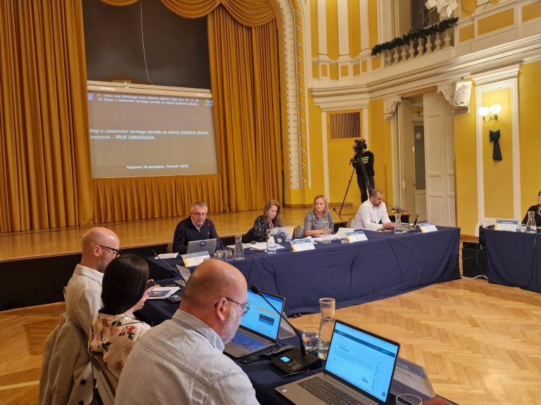 Mestni svet Mestne občine Celje