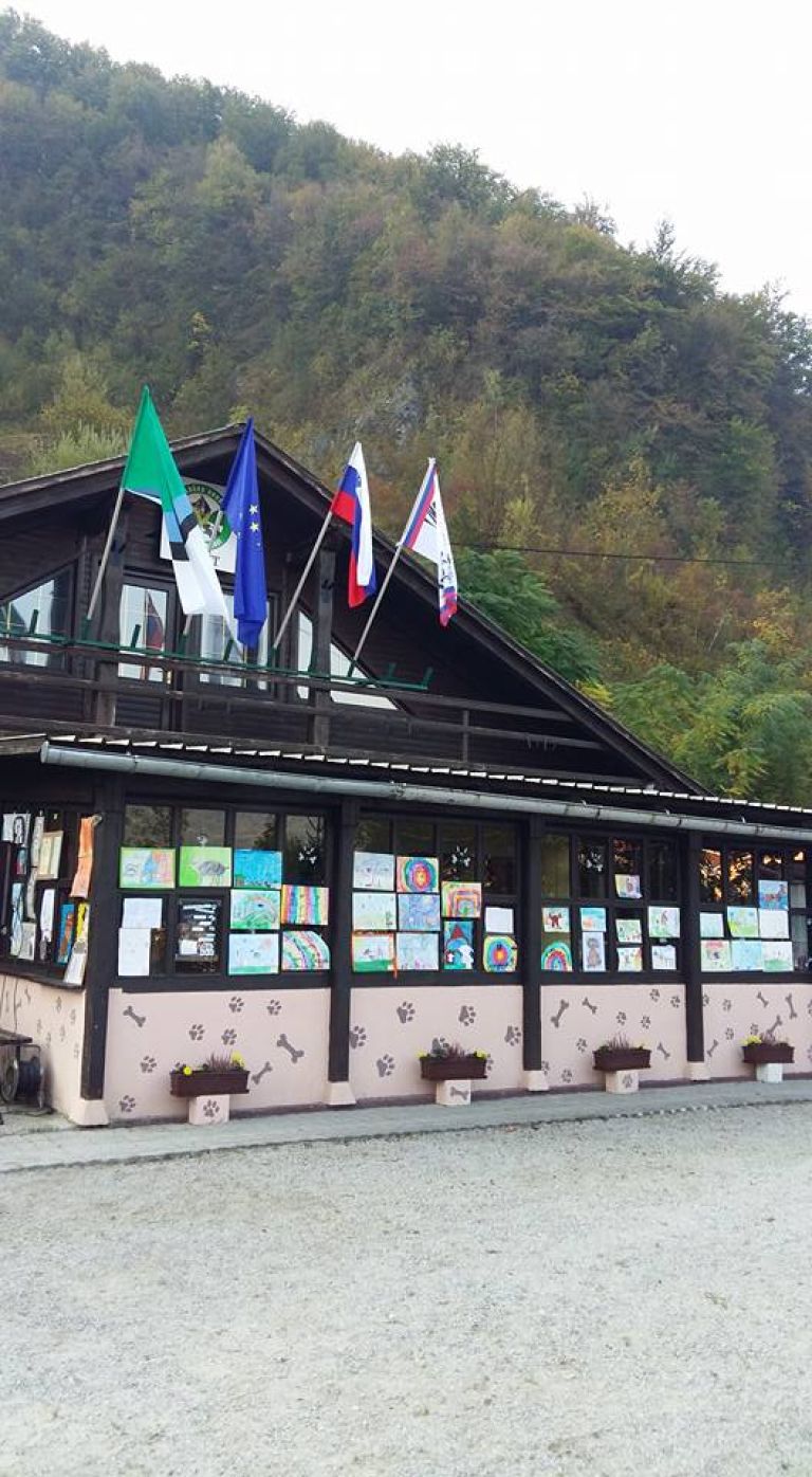 Kinološko društvo Zagorje.jpg