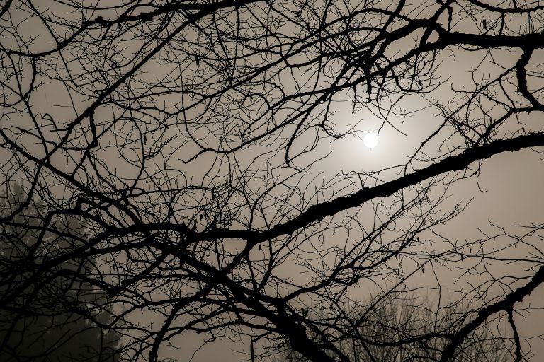 megla, sonce, sivina.JPG