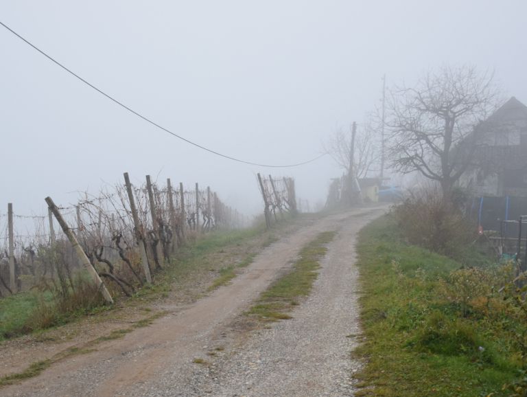 mv-videm cesta 2.JPG