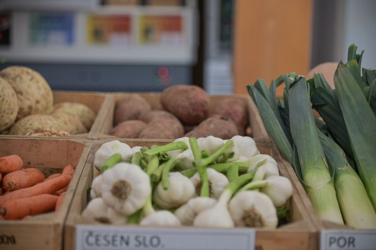 česen por korenje zelenjava