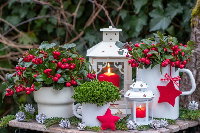 praznično okraševanje vrta 2